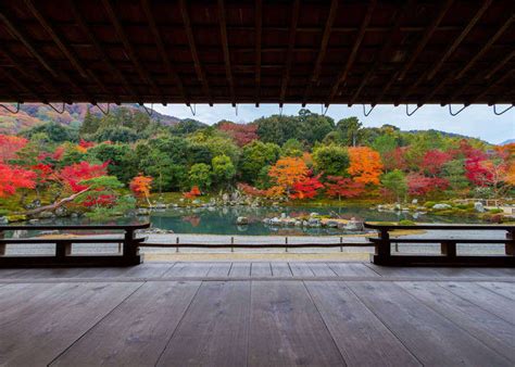 天竺山金龍寺|京都・嵐山「天龍寺」ガイド！美しい庭園や龍の天井画など見ど。